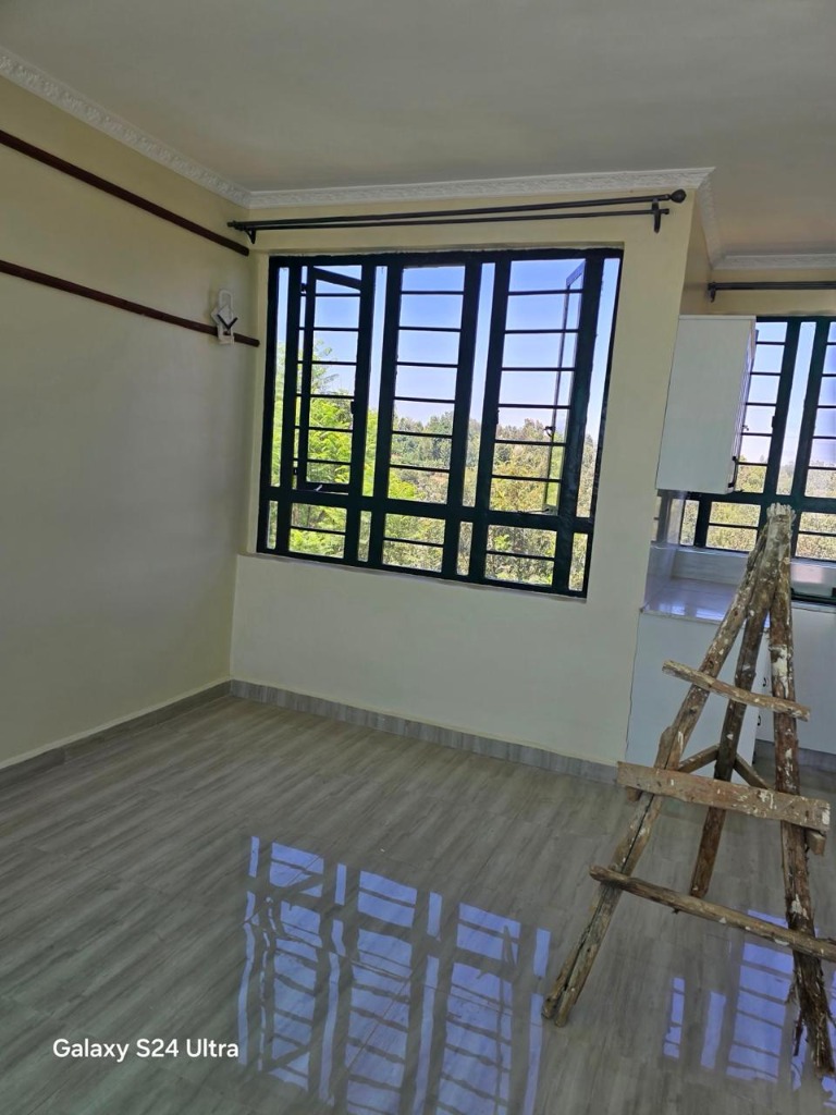 Living Room Window